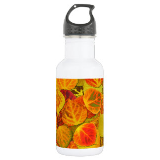 Bouteille D'eau En Acier Inoxydable Aspen Feuilles Collage Solid Medley 1