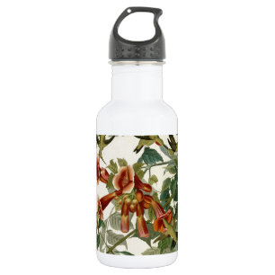 Bouteille D'eau En Acier Inoxydable Audubon Throsé de colibri