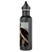 Bouteille D'eau En Acier Inoxydable Audubon White Ibis Bird Wildlife (Droite)