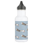 Bouteille D'eau En Acier Inoxydable Avion Santos-Dumont 14 Bis (Gauche)