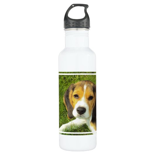 Bouteille D'eau En Acier Inoxydable Beagle (Devant)