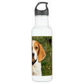 Bouteille d'eau en acier inoxydable beagle (Devant)