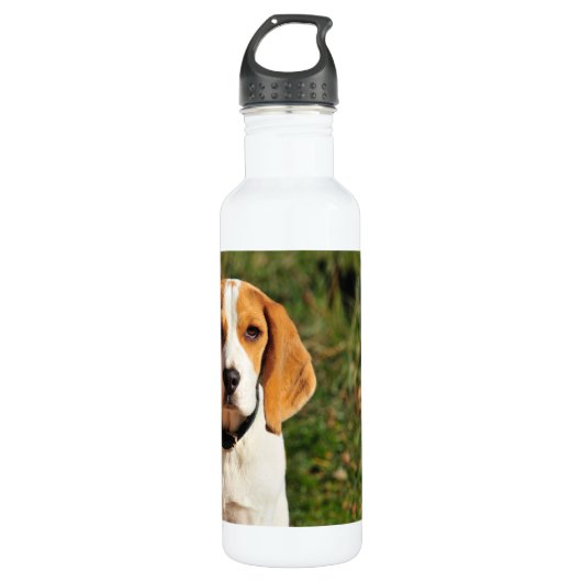 Bouteille d'eau en acier inoxydable beagle (Devant)
