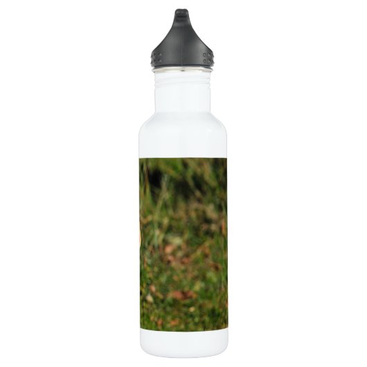 Bouteille d'eau en acier inoxydable beagle (Droite)