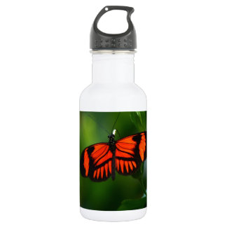 Bouteille D'eau En Acier Inoxydable Beau Papillon Rouge Feu et Noir