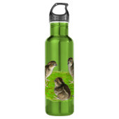 Bouteille D'eau En Acier Inoxydable Bobwhite Quail (Devant)
