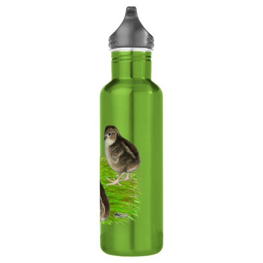 Bouteille D'eau En Acier Inoxydable Bobwhite Quail (Droite)