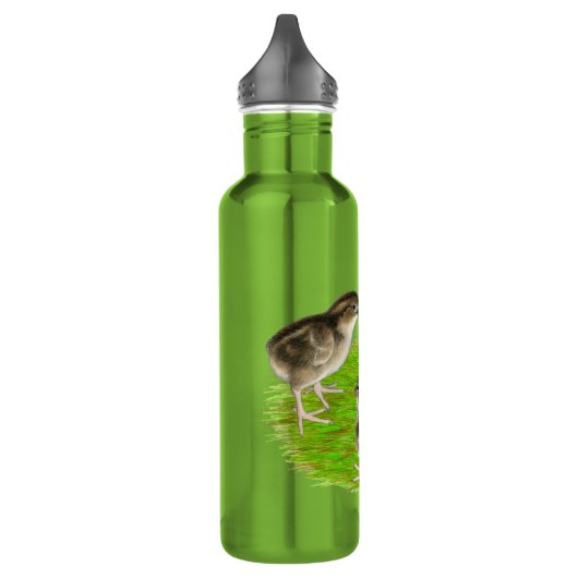 Bouteille D'eau En Acier Inoxydable Bobwhite Quail (Gauche)