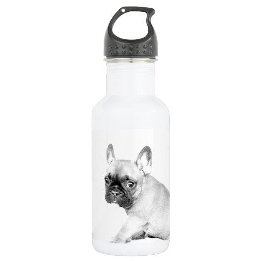 Bouteille D'eau En Acier Inoxydable Bouledogue français (Devant)