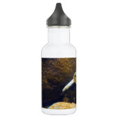 Bouteille D'eau En Acier Inoxydable Brook Trout (Gauche)