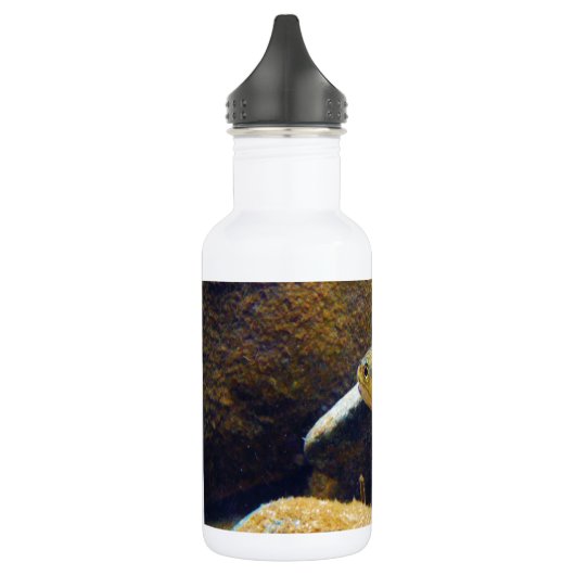 Bouteille D'eau En Acier Inoxydable Brook Trout (Gauche)