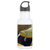 Bouteille D'eau En Acier Inoxydable Brook Trout (Devant)