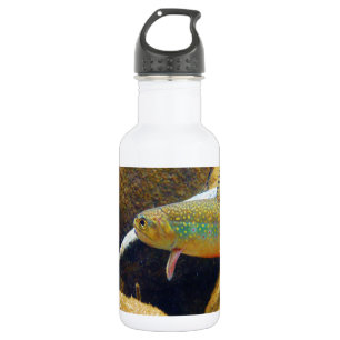 Bouteille D'eau En Acier Inoxydable Brook Trout