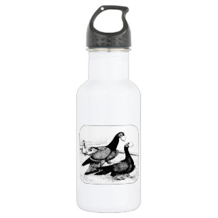 Bouteille D'eau En Acier Inoxydable Carrier Pigeons Loft Scene 1980