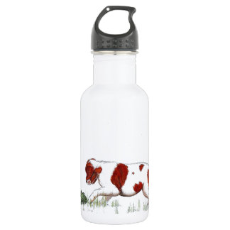 Bouteille D'eau En Acier Inoxydable Cavalier King Charles Spaniel