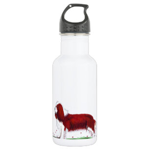 Bouteille D'eau En Acier Inoxydable Cavalier King Charles Spaniel CKC