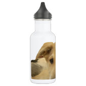 Bouteille D'eau En Acier Inoxydable Chaque chien a iTS DAY Hakuna Matata Joyeux jours  (Gauche)