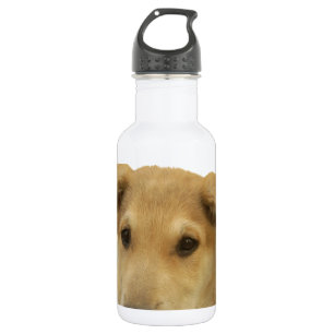 Bouteille D'eau En Acier Inoxydable Chaque chien a iTS DAY Hakuna Matata Joyeux jours