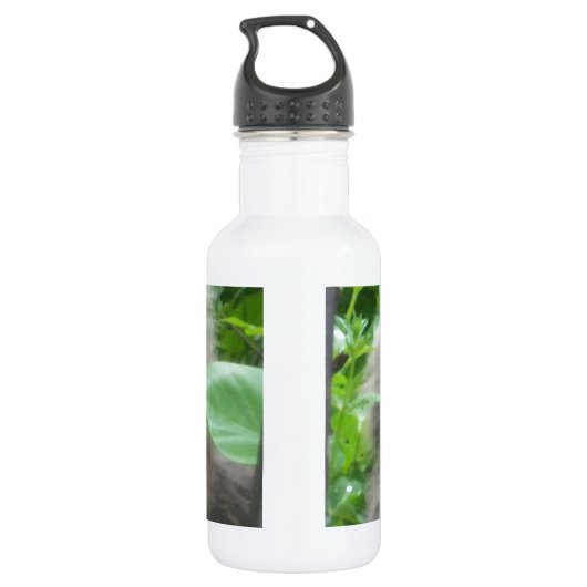 Bouteille D'eau En Acier Inoxydable Chat bleu russe gris-long (Dos)