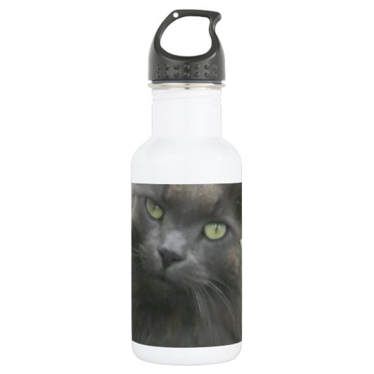 Bouteille D'eau En Acier Inoxydable Chat bleu russe gris-long (Devant)