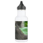 Bouteille D'eau En Acier Inoxydable Chat bleu russe gris-long (Droite)