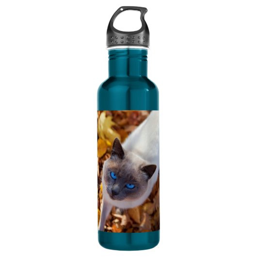 Bouteille D'eau En Acier Inoxydable Chat d'automne (Devant)