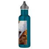 Bouteille D'eau En Acier Inoxydable Chat d'automne (Droite)