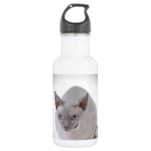 Bouteille D'eau En Acier Inoxydable Chat de Sphynx