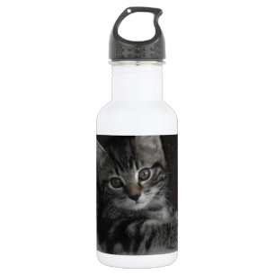 Bouteille D'eau En Acier Inoxydable Chaton d'étameur ambulant