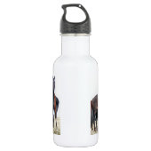 BOUTEILLE D'EAU EN ACIER INOXYDABLE CHEVAUX (Dos)