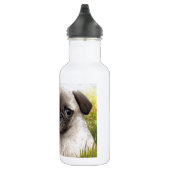 Bouteille D'eau En Acier Inoxydable Chien 114 Carlin de chiot (Droite)