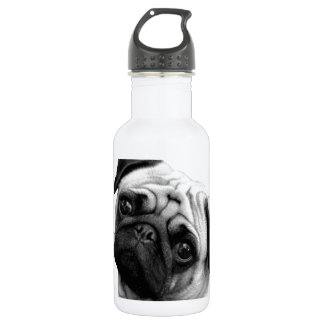 Bouteille D'eau En Acier Inoxydable Chien de carlin