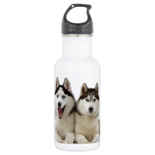Bouteille D'eau En Acier Inoxydable Chiens enroués