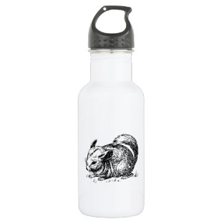 Bouteille D'eau En Acier Inoxydable Chinchilla
