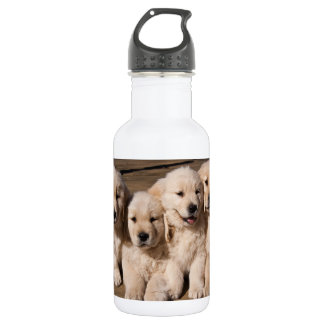 Bouteille D'eau En Acier Inoxydable Chiots doux de golden retriever