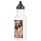 Bouteille D'eau En Acier Inoxydable Chiots doux de golden retriever (Droite)
