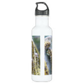 Bouteille D'eau En Acier Inoxydable Chou affamé Canapés blancs (Dos)