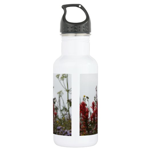 Bouteille D'eau En Acier Inoxydable Colibri à Dusk (Dos)