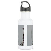 Bouteille D'eau En Acier Inoxydable Colibri au repos (Dos)