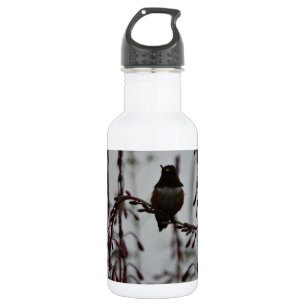 Bouteille D'eau En Acier Inoxydable Colibri au repos