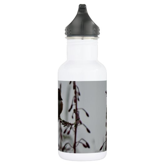 Bouteille D'eau En Acier Inoxydable Colibri au repos (Droite)