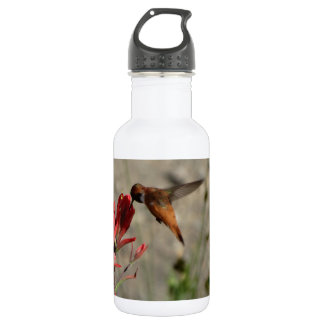 Bouteille D'eau En Acier Inoxydable Colibri fleur sauvage rouge