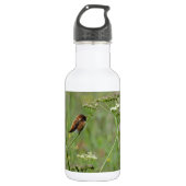 Bouteille D'eau En Acier Inoxydable Colibri : Oiseau en fleurs (Devant)