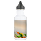 Bouteille D'eau En Acier Inoxydable Colibri sur un plante à fleurs (Droite)