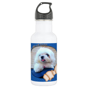 Bouteille D'eau En Acier Inoxydable Combien Est Ce Chien Dans La Fenêtre ?