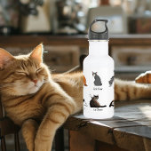 Bouteille D'eau En Acier Inoxydable Commandes Cat