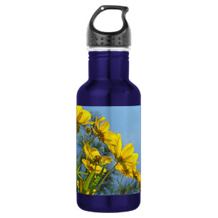 Bouteille D'eau En Acier Inoxydable Coreopsis longifolia Sunflower Fleur sauvage
