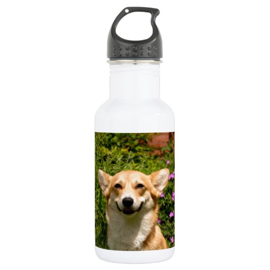 Bouteille D'eau En Acier Inoxydable CORGi (Devant)