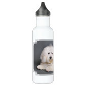 Bouteille D'eau En Acier Inoxydable Coton de Tulear - Joci (Gauche)