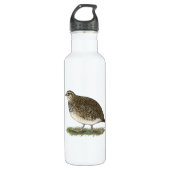 Bouteille D'eau En Acier Inoxydable Coturnix Quail (Devant)